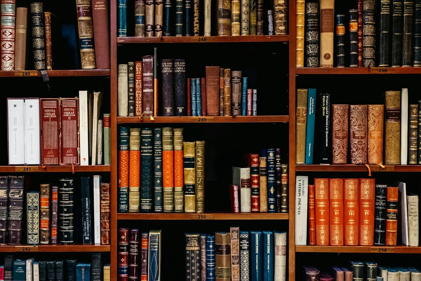 Numbered wooden shelves of old leather-bound books with gilt lettering on the spines.